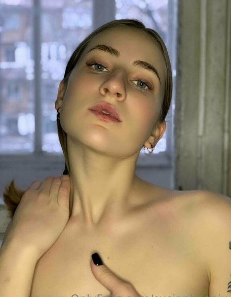 susiephoenix hd perfekte archiv