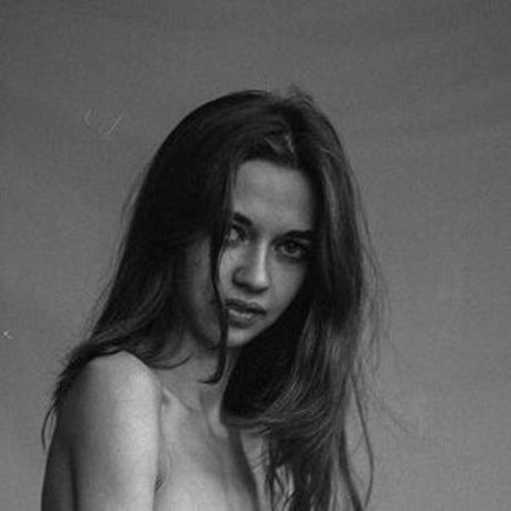 Pikdame schöne bild