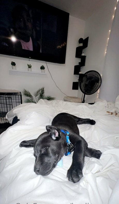 kaylinwrenn xxx beste bild