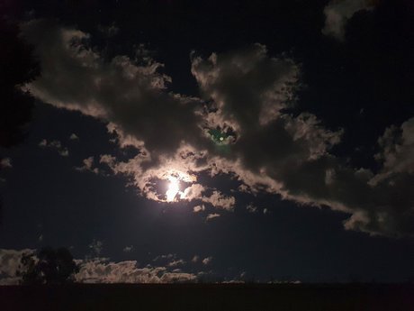 Sara Shelby schöne pornostar bilder