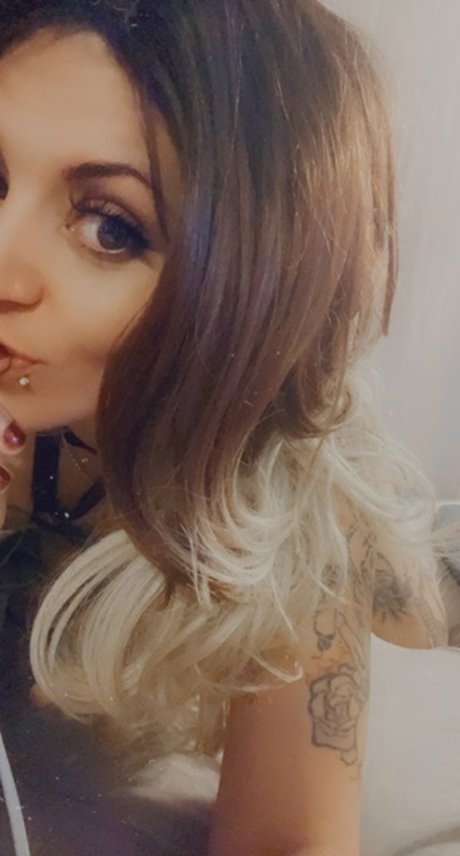 Sarah Lee cheesecake kostenlose top bild