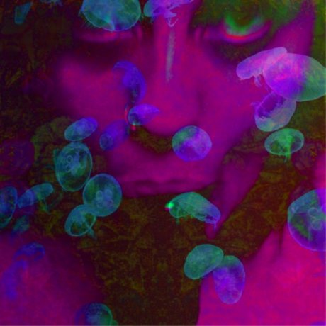 S A N T A M O N N E Z Z A Bilder