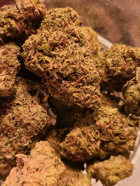 Big Drew exklusive pornostar archiv