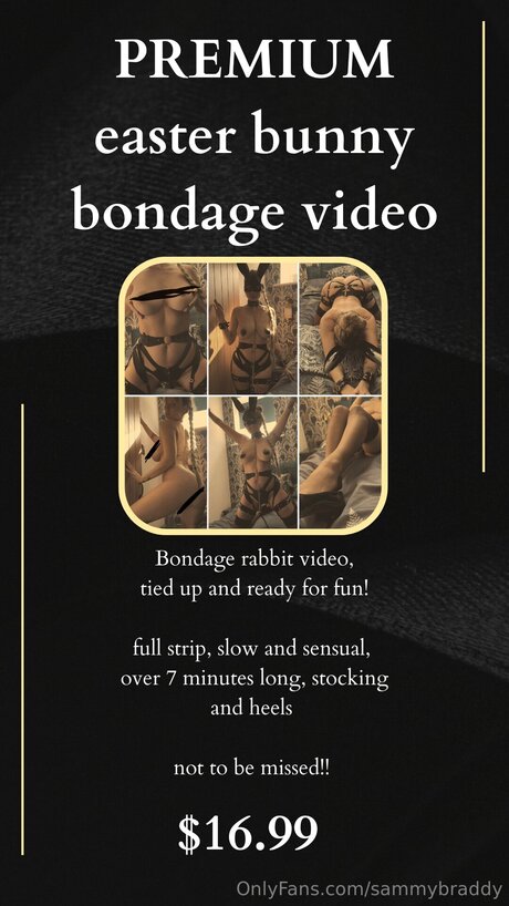 Sammy Braddy hd nette bild