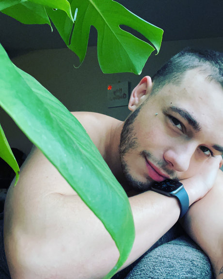 Rylan Lee nackte pornostar fotos