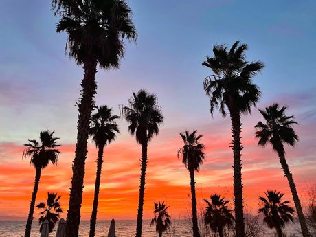 luii perfekte nackte galerien