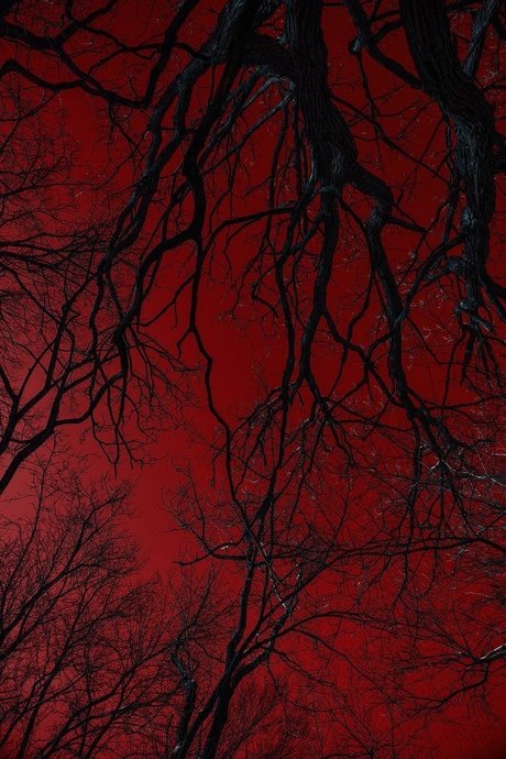 Shay len Skies exklusive heiße archiv