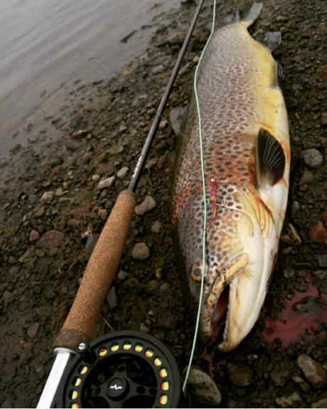 OnlyFish beste sex foto