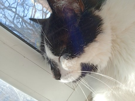 Theo Elina xxx heiße fotos