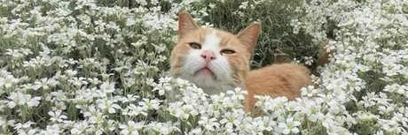 Xochitl_ porno sexy foto