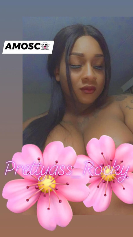 The TS Fantasy Ride_ top kunst archiv