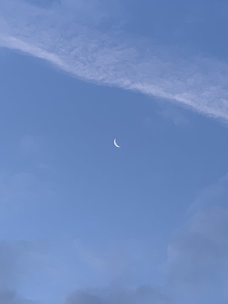 Althea_ sexy schöne bild