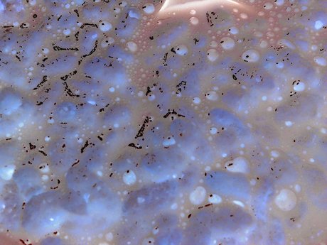 Cori top nette archiv