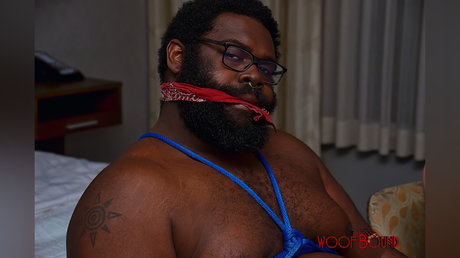 Zachumble hd schöne fotos