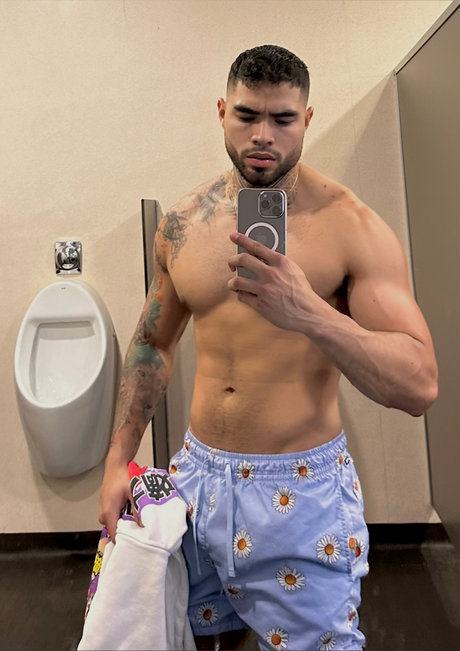 zapata hübsche top foto