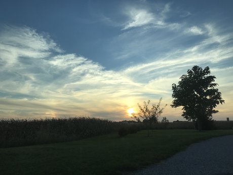 Brown Eyed Beauty_ Profilbild