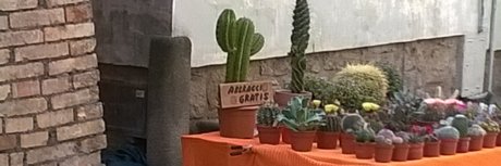 Yuri Crispi kunst bilder