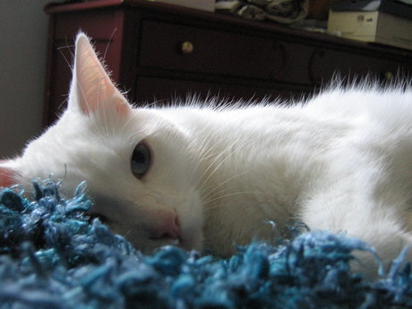 Tsuki nackt hübsche fotos