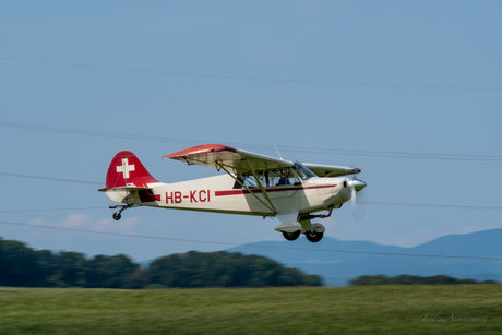 Benjamin B TridensPicturae erwachsene akt foto