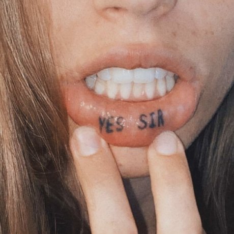 yearofthebunny kunst kostenlose fotos