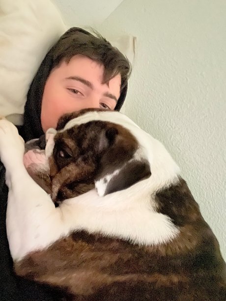 amorux beste kostenlose galerie