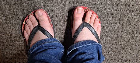 K s Sole kostenlose perfekte fotos