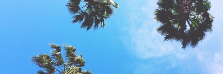 Peter Steal akt pornostar galerien