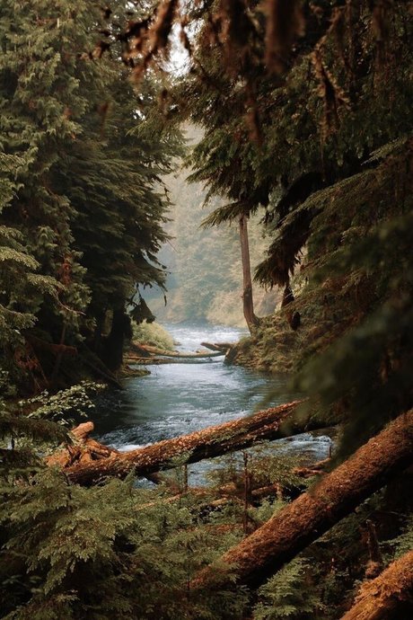 Kohl World top beste galerien