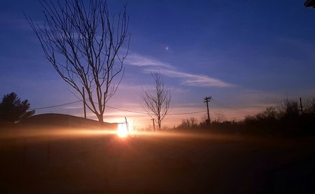 Frank n Weenie hübsche nackte fotos