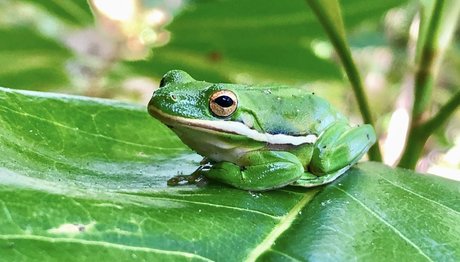 naveltrailblazer3 top nackte foto