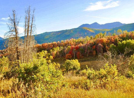 naveltrailblazer3 pornostar top archiv