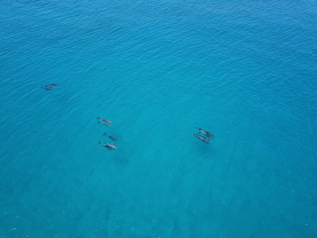 Flyingbeers porno schöne galerien