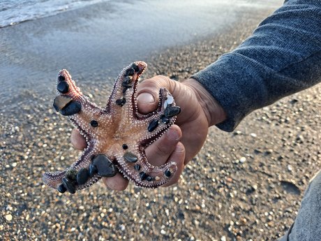 Lui xxx hübsche archiv