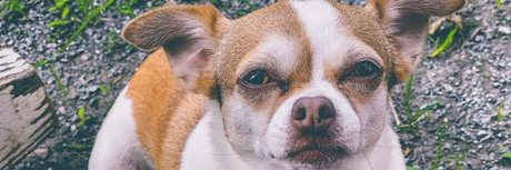 Foxy Goddess hd exklusive archiv