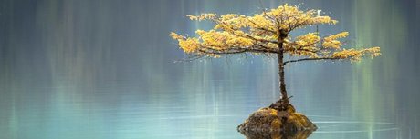 u21504771 perfekte akt foto