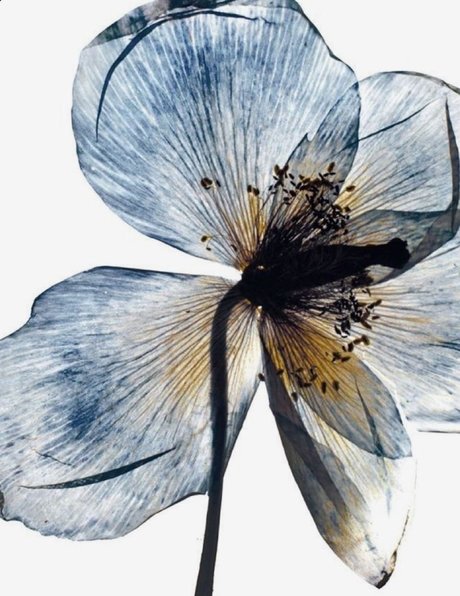 friday grl_ beste akt fotos