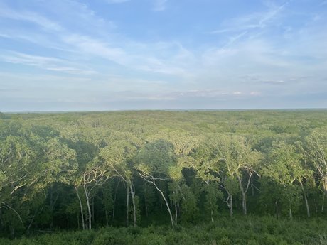 MisterG exklusive akt galerien