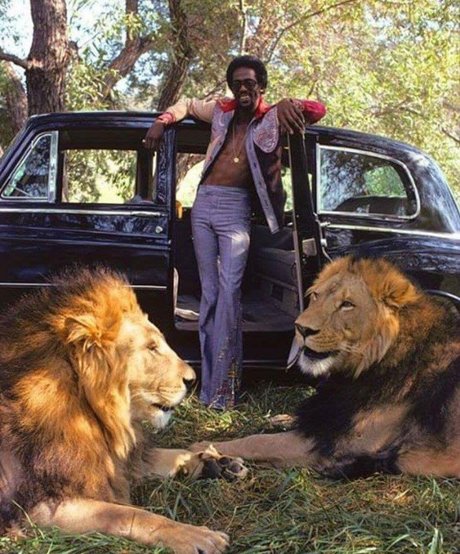 Freakyfeez schöne exklusive galerien