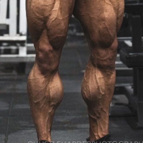 King Calves_ Profilbild