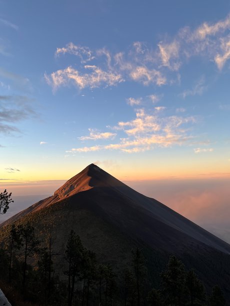 Farine model kunst bild