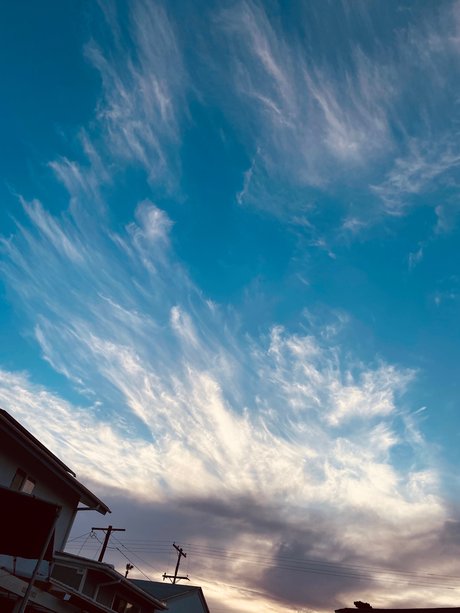 Tomo porno hd galerien