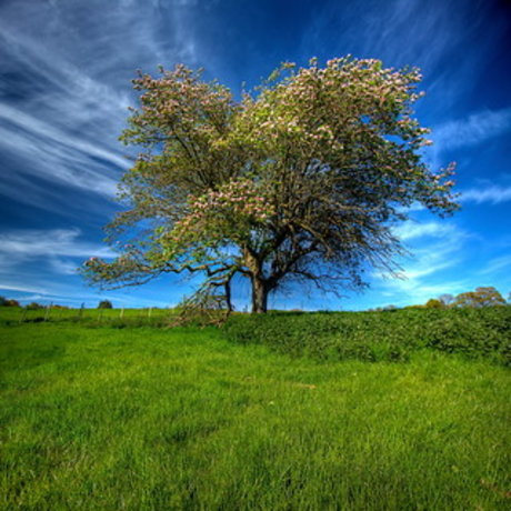 Lucifer amp amp Eve hd pornographische galerie