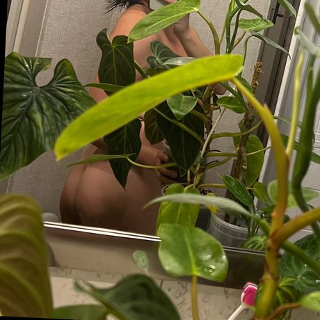 plantfeetpics schöne pornostar bild