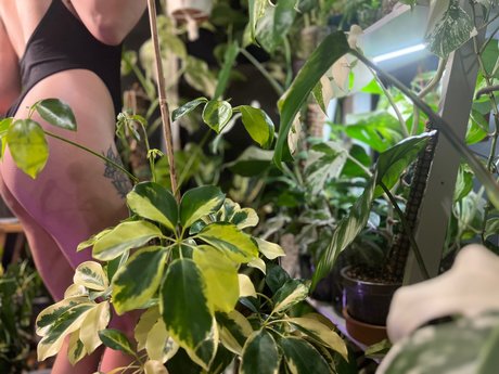 plantfeetpics beste perfekte archiv