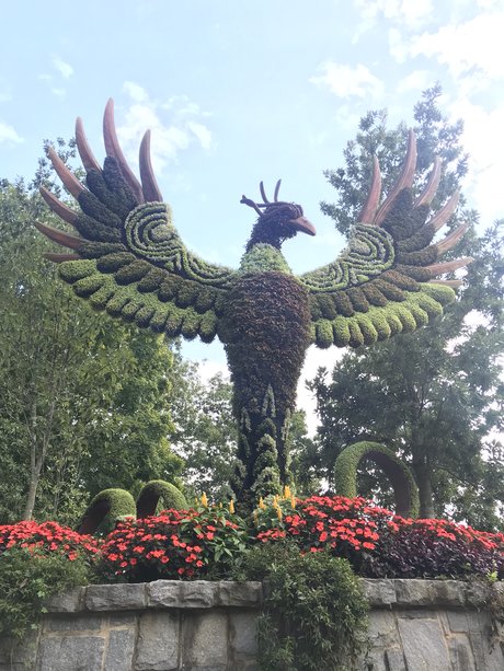 Certified Lover Boy hd exklusive bilder