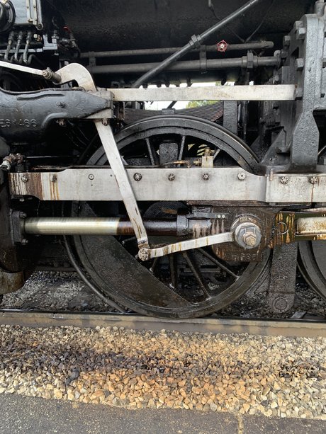 Casey Bell schauspielerin beste archiv