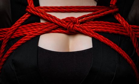 Ivan Grashyn perfekte top galerie