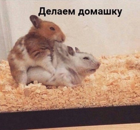 Onostasisa beste sex foto