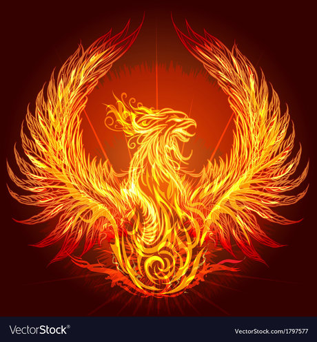 The Dark Bird of Light erwachsene nacktheit fotos