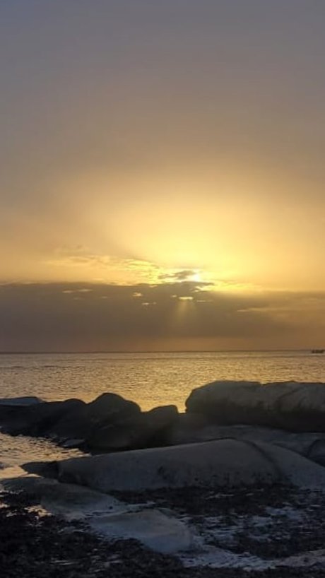 Jackieyz freie erwachsene galerie